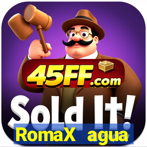 RomaX agua sanitaria fispq agua sanitaria romax